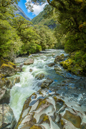 Running stream through forest in South Island, New Zealand.
