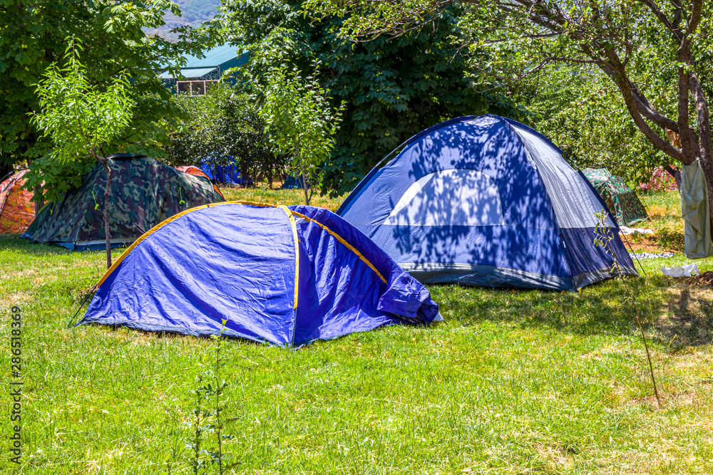 Tent under the trees. Wild outdoor recreation.