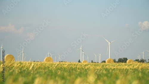 Green wheat field in motion with wind turbines in the background.
