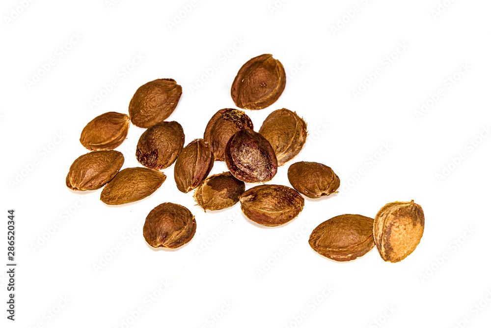 Apricot pits isolated on white background close-up Apricot pits isolated on white background close-up