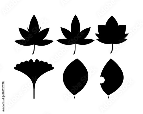 銀杏 イチョウ 葉 秋 落ち葉 イラスト 紅葉 落葉 楓 もみじ Stock Vector Adobe Stock 銀杏 イチョウ 葉 秋 落ち葉 イラスト 紅葉 落葉 楓 もみじ Stock Vector Adobe Stock