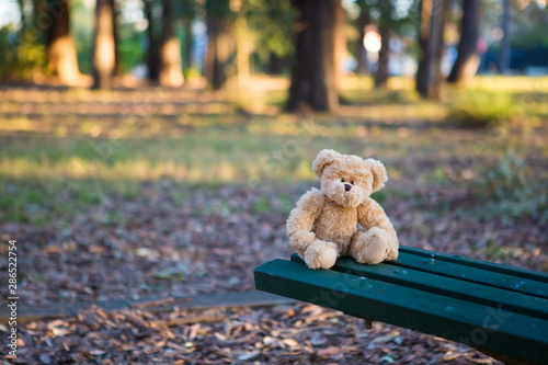 Abandoned toy left behind on the bench.
