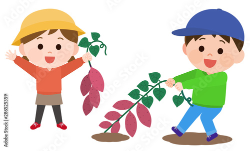 芋掘りする子供男女　イラスト