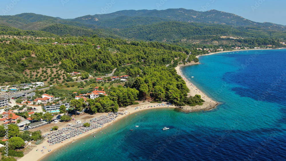 Aerial drone photo of beautiful covered in pine trees paradise sandy organised beach of Lagomandra with turquoise clear sea in Sithonia peninsula, Halkidiki, North Greece