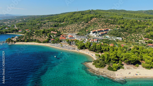 Aerial drone photo of beautiful covered in pine trees paradise sandy organised beach of Lagomandra with turquoise clear sea in Sithonia peninsula, Halkidiki, North Greece