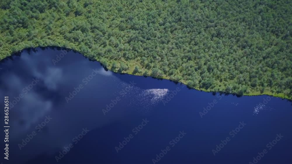 Aerial top view of beautiful hidden lake in swampy area with young growing forest, parallax effect reflection of sky and clouds in deep blue water surface, drone flies over untouched nature landscape Aerial top view of beautiful hidden lake in swampy area with young growing forest, parallax effect reflection of sky and clouds in deep blue water surface, drone flies over untouched nature landscape
