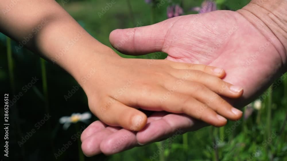 Baby hand in fathers hand close up Baby hand in fathers hand close up