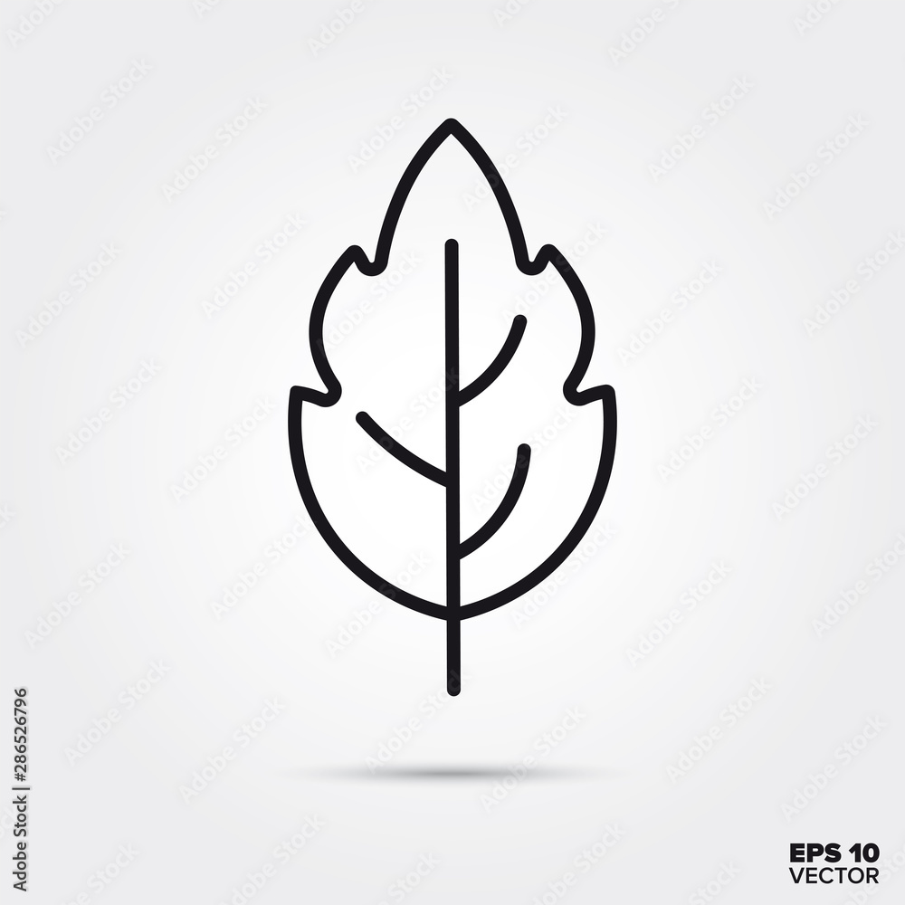 Leaf line icon vector illustration