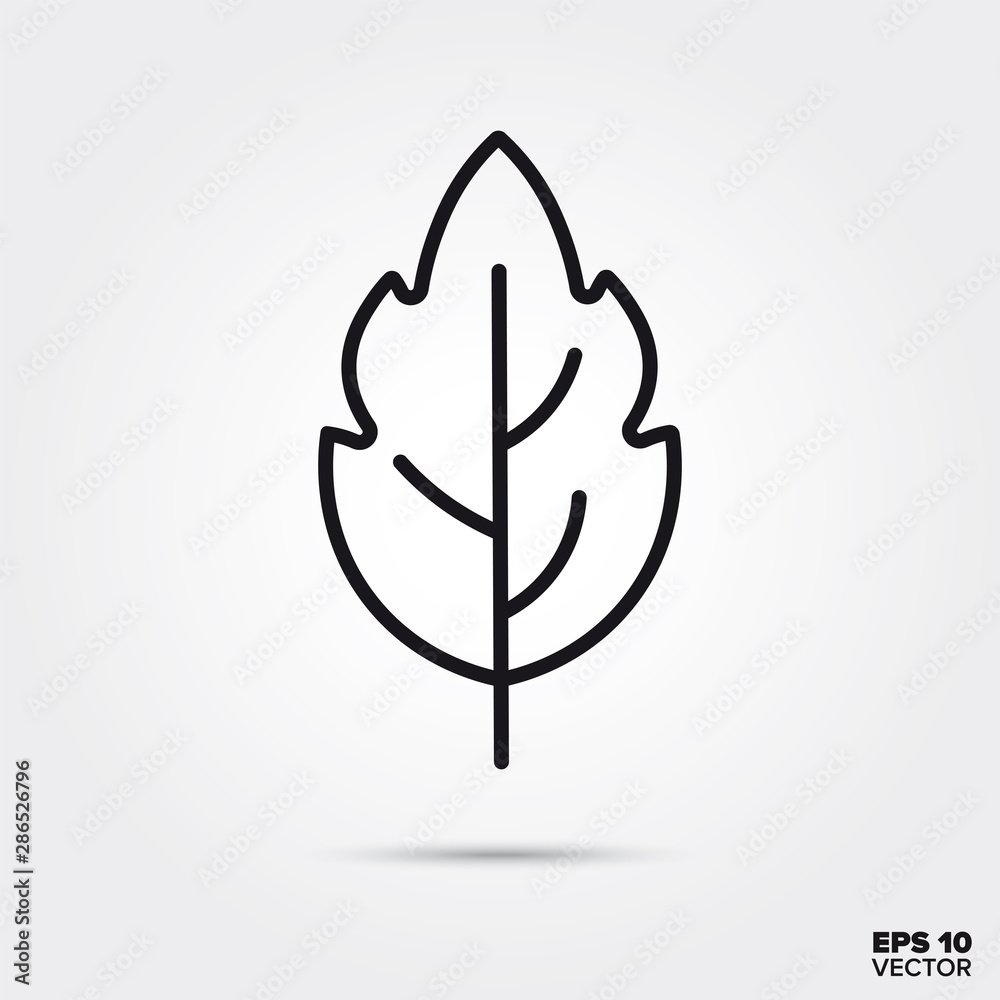 Leaf line icon vector illustration Leaf line icon vector illustration