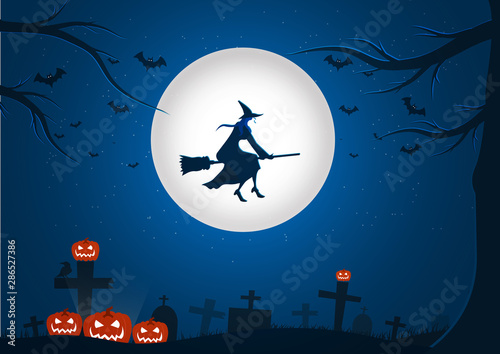 Halloween night background picture with flying witch and bats., Vector 