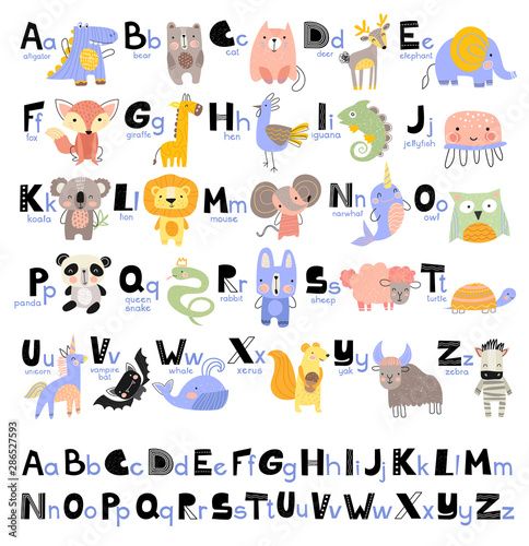 Fototapeta Naklejka Na Ścianę i Meble -  1Funny Alphabet for young children with names and pictures of animals assigned to each letter. Learning English for kids concept with a font in black letters in vector