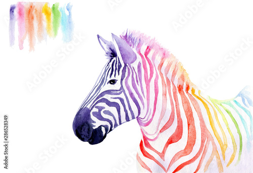 watercolor drawing of an animal - rainbow zebra