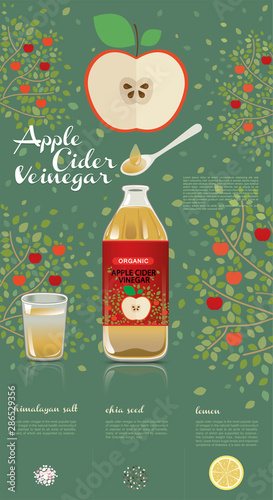 apple cider vinegar in glass of fresh water, Himalayan salt, chia seed and lemon, document template food, Flat design, vector illustration