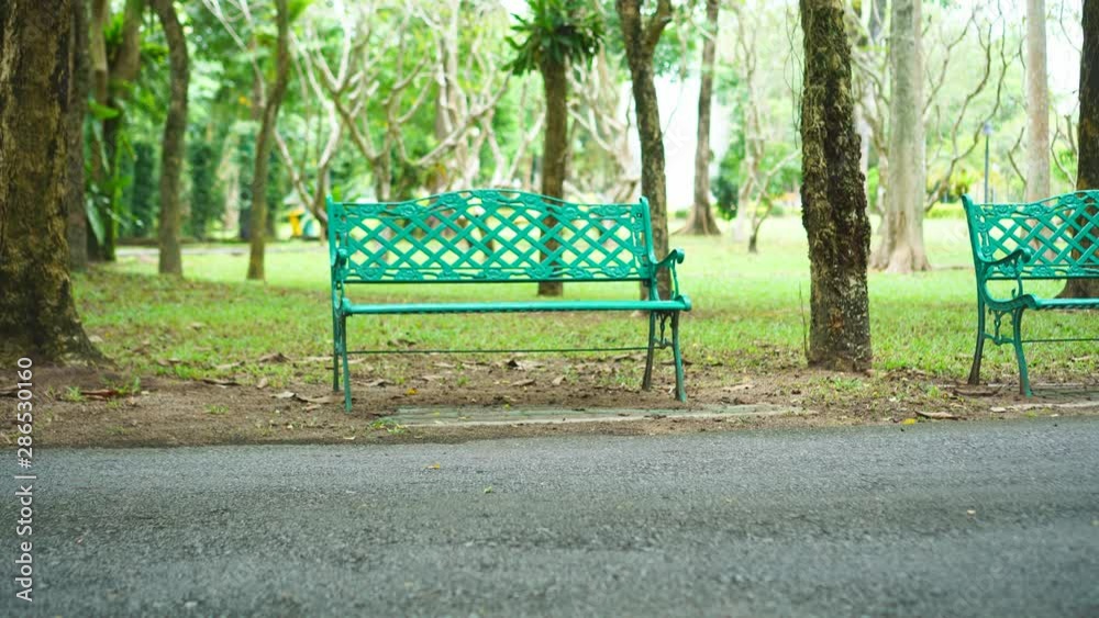 Park bench in public park with green and natural tee