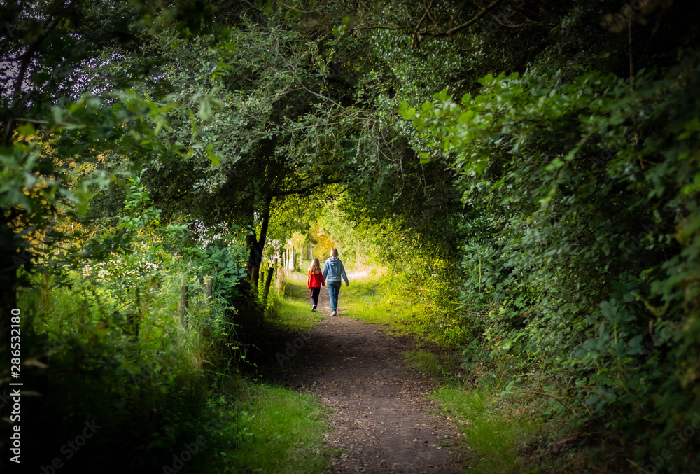 Fototapeta premium Walk in the woods