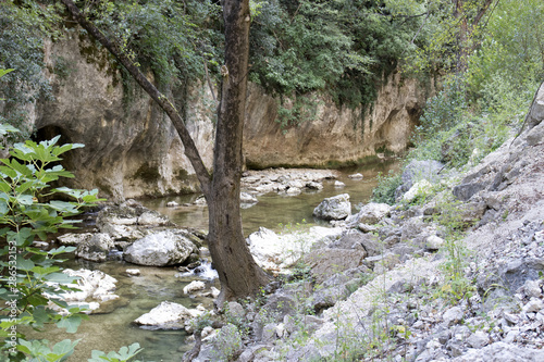 parco naturalistico in mezzo al bosco photo