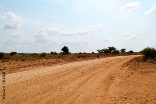 Tableau sur toile Desert landscape of the Kenyan Savannah
