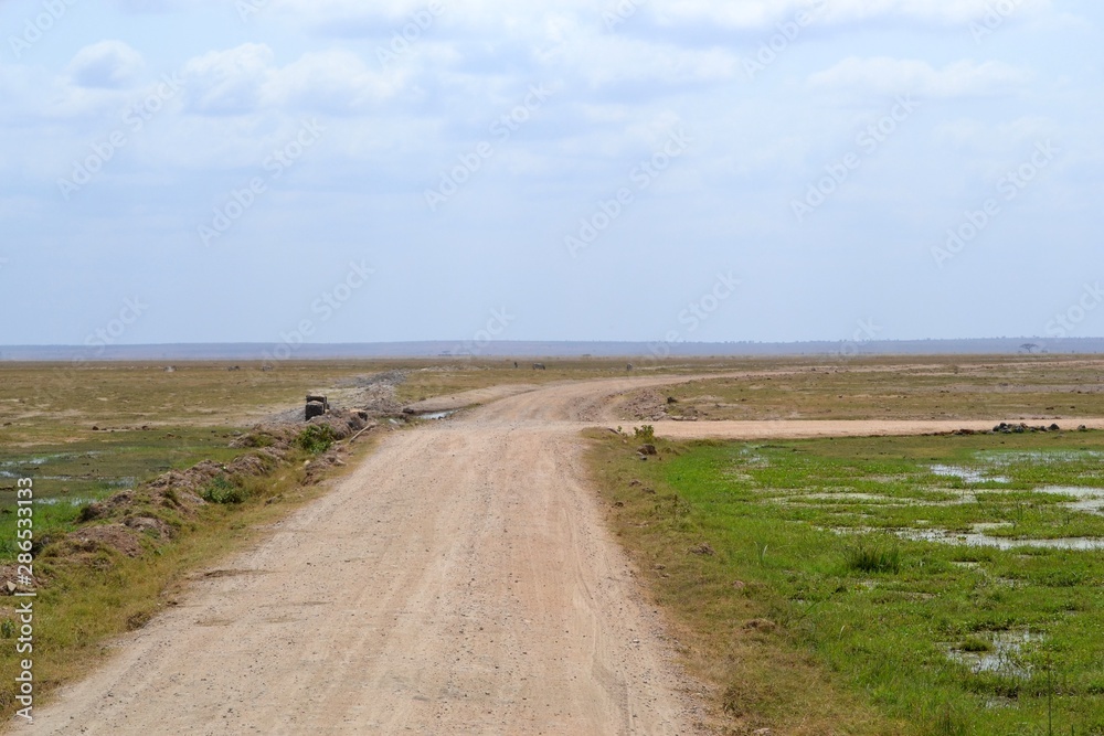 Desert landscape of the Kenyan Savannah