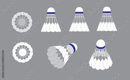 Various Sides Shuttlecock Badminton Vector Illustration