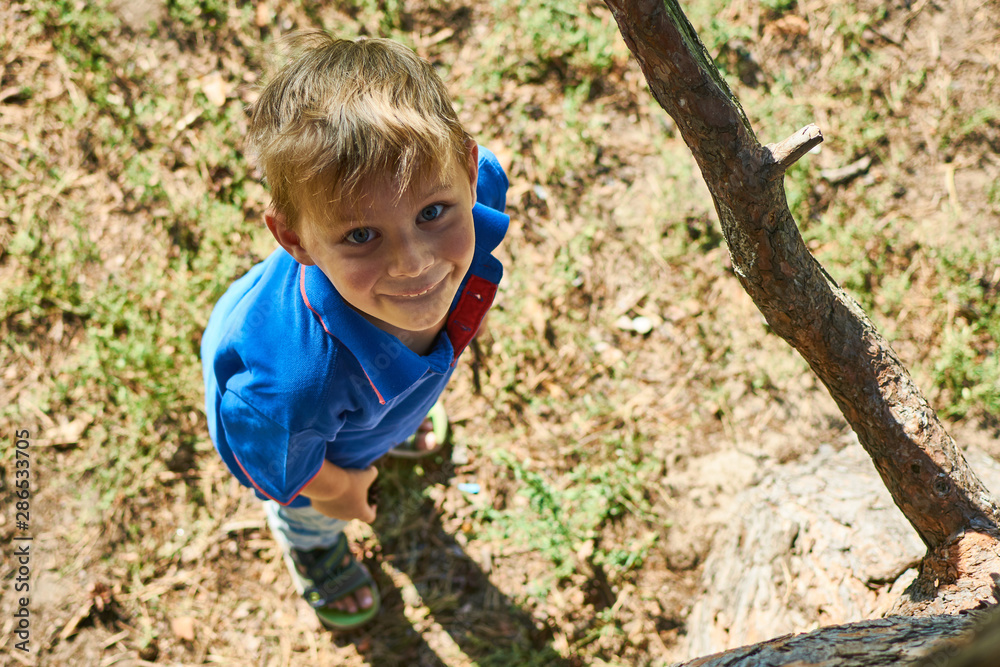 A little boy climbs a tree. Active recreation of the child in nature. A little boy climbs a tree. Active recreation of the child in nature.