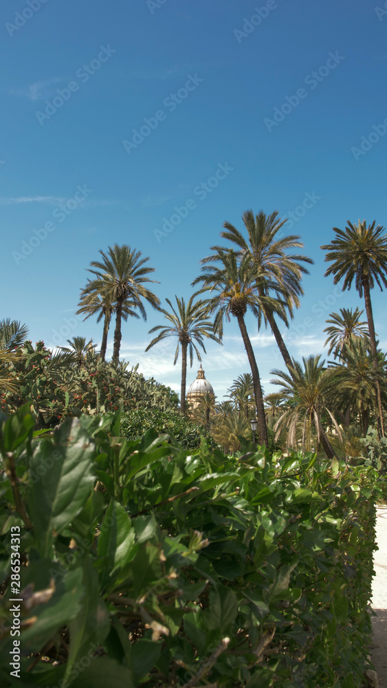 Fototapeta premium Palermo, Sicilia 