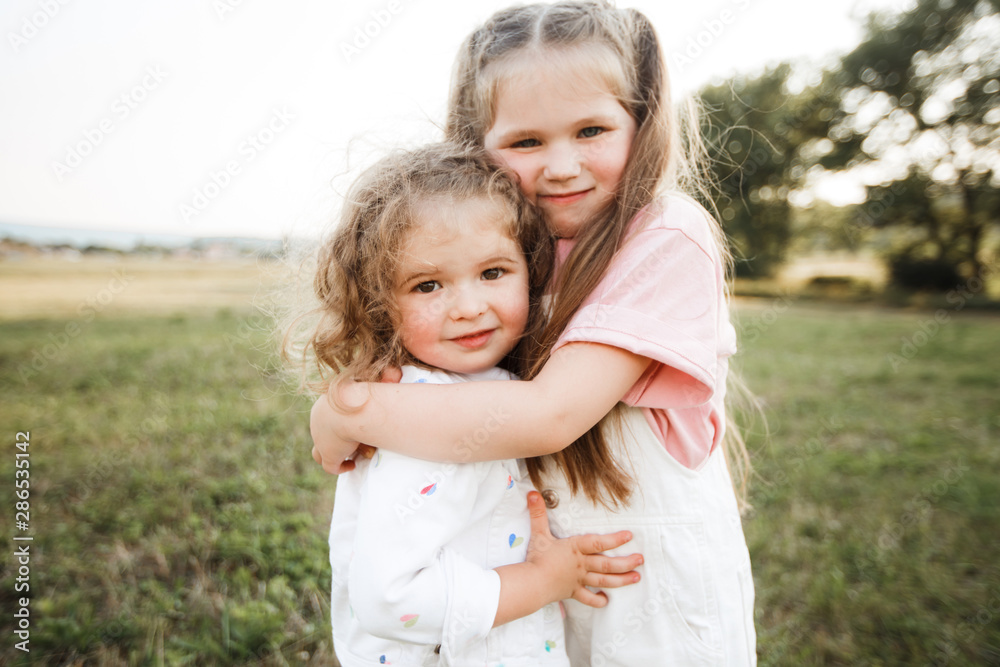 Little sister girls walk in the spring meadow. Little sister girls walk in the spring meadow.