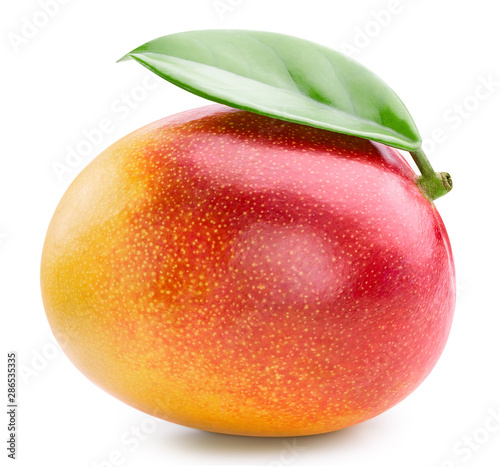 One mango fruit with leaf isolated. Ripe fresh best mango. Mango Clipping Path. Mango professional food photos
