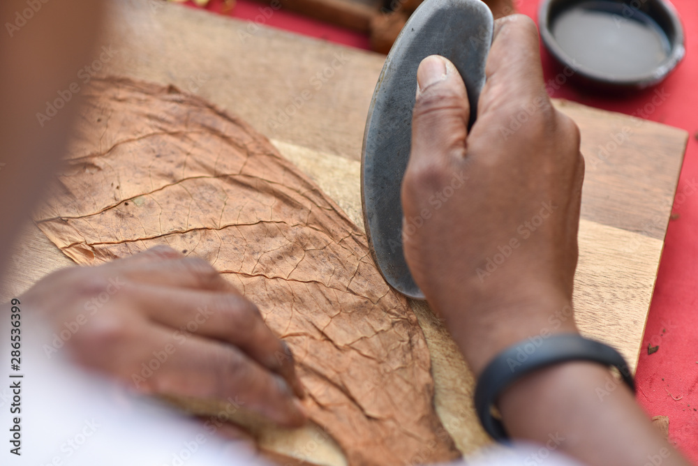 Obraz premium Mann dreht eine Zigarre