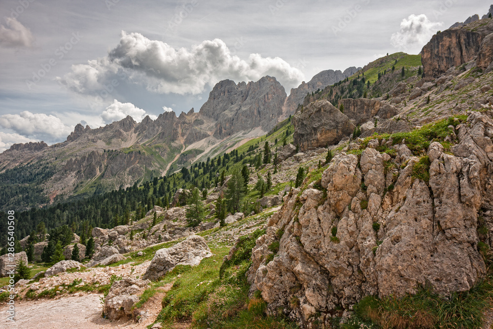 Panoramic view of towers and peaks of the Dolomites of the Catinaccio group Panoramic view of towers and peaks of the Dolomites of the Catinaccio group