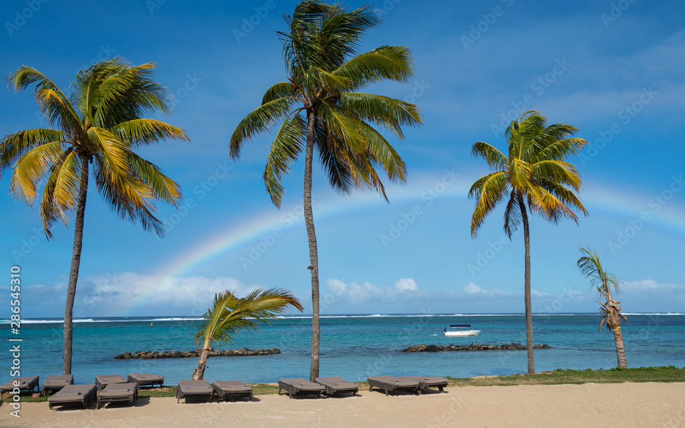 Fototapeta premium Regenbogen