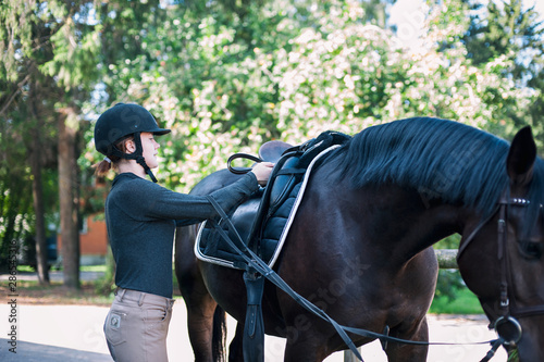 Young teenage girl owner harnessing bay stallion for training