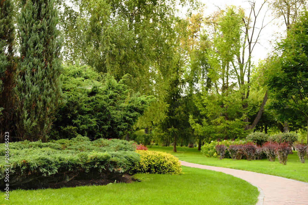 Obraz premium Picturesque landscape with beautiful green lawn on sunny day. Gardening idea