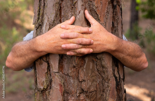 A senior adult man in the woods hugging a tree with his arms in the woods. Earth Day concept. People save the planet from deforestation