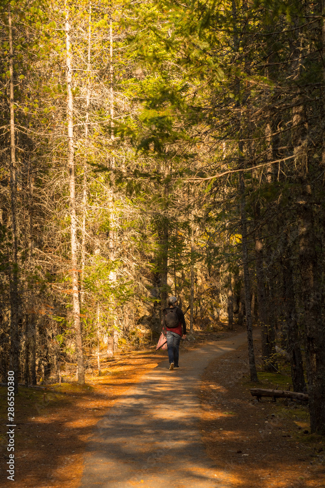A woman walks along the George Overlook trail, at the North Cascades A woman walks along the George Overlook trail, at the North Cascades