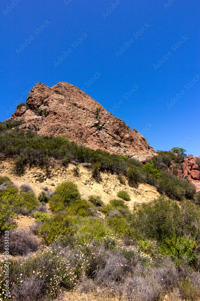 Tonal Mountain in Malibu with Shrubs growing, Set against a pure blue sky