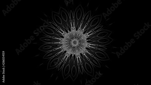 changing pattern of an abstract flower - seamless looping (FULL HD)