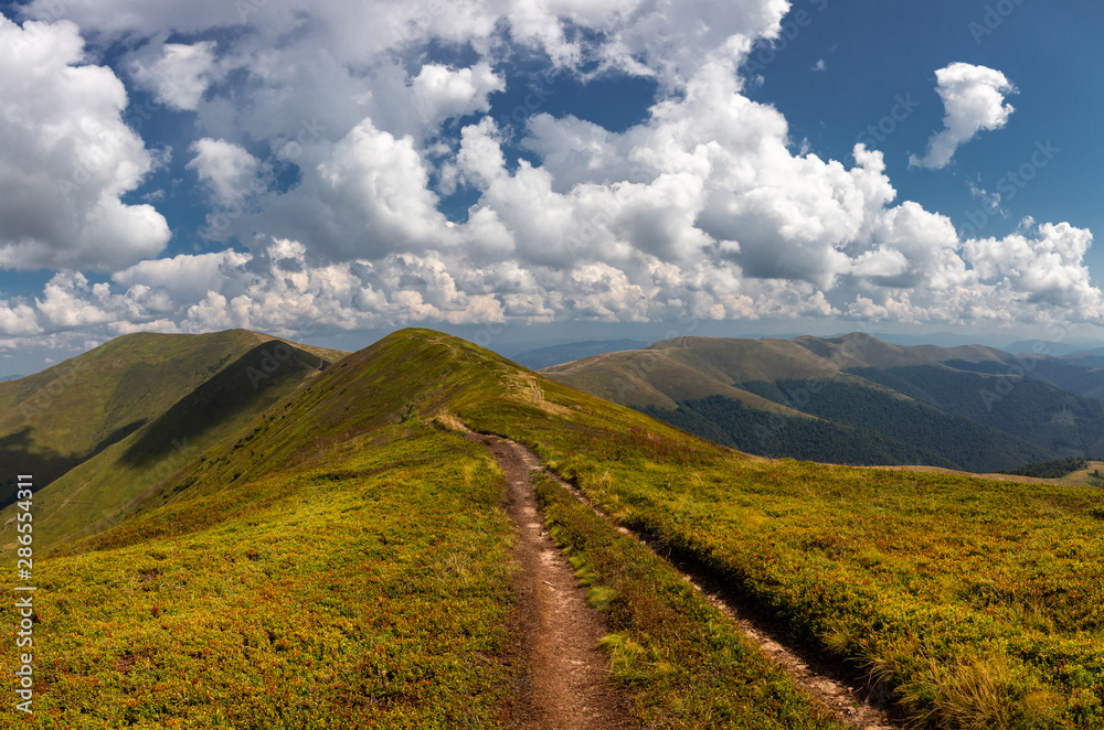 Beautiful mountain landscape on a summer day. Carpathian mountains of Ukraine. Holidays in the mountains.