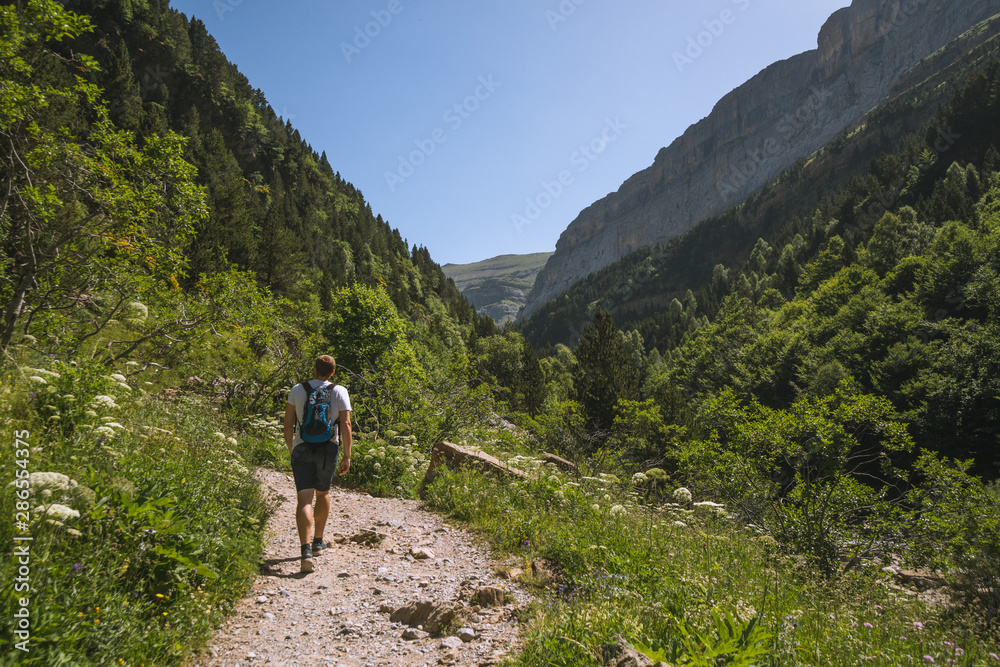 Hiker walking on a trail path in a valley with forests and mountains on sides in the Pyrenees
