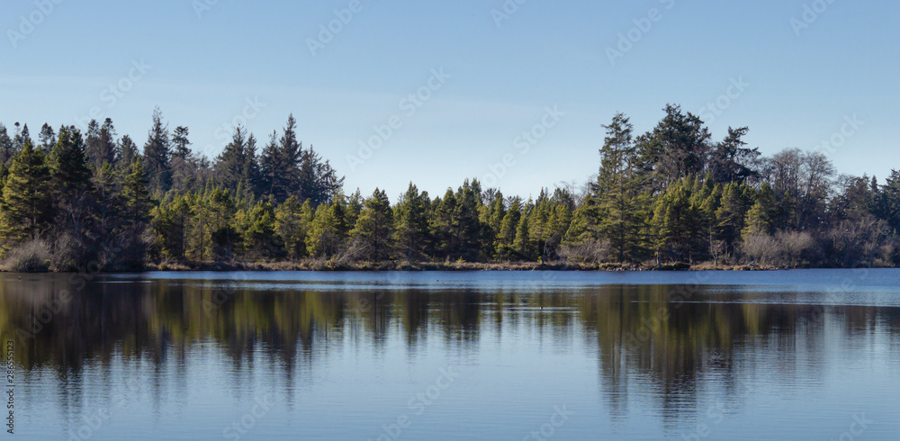 Amazing reflections on Cranberry Lake from several types of bushes and trees surrounding the smooth clear waters of the lake. This holiday destination is located at Deception Pass, Washington.