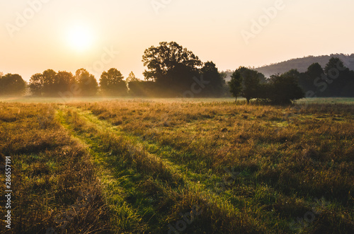 Beautiful sunrise over a misty meadow in summer morning 