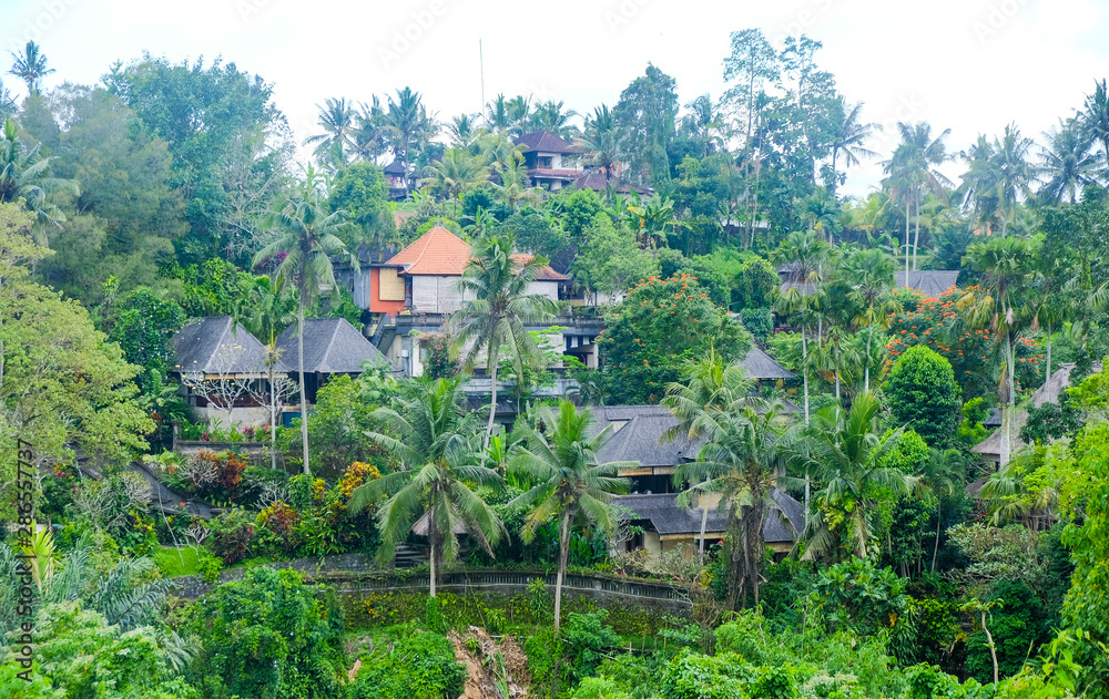 Buildings in the jungle in Bali, traditional Indonesian style