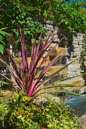 Late Summer Garden.