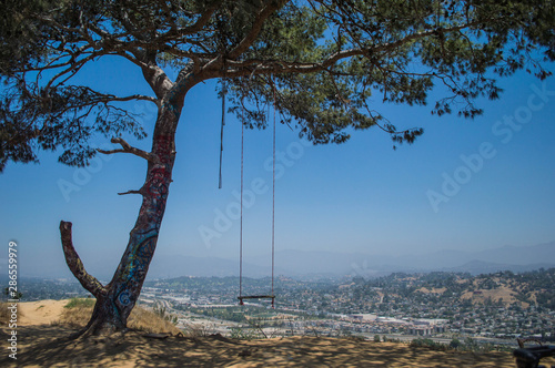 Swinging On Top of the World in Elysian Park, Los Angeles, CA photo