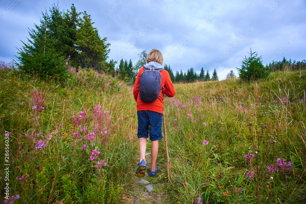 Little child boy with backpack hiking in mountains