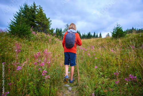 Little child boy with backpack hiking in mountains © Petr Bonek