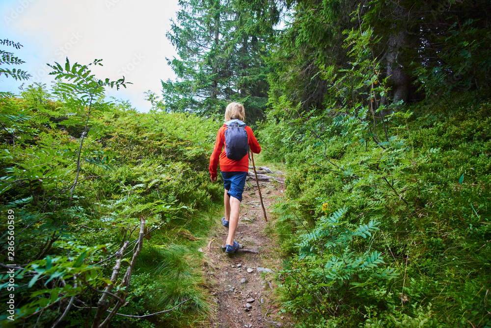 Little child boy with backpack hiking in mountains Little child boy with backpack hiking in mountains