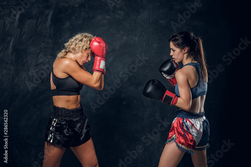 Expirience trainer and her young student have a boxing training wearing boxing gloves. © Fxquadro