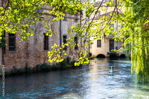 The city of Treviso photo