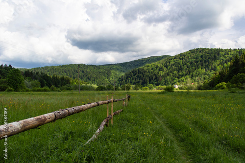 Fototapeta Naklejka Na Ścianę i Meble -  rustic fence of long tree trunks in green grass