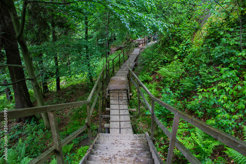 staircase wooden path with railing in the mountain green forest